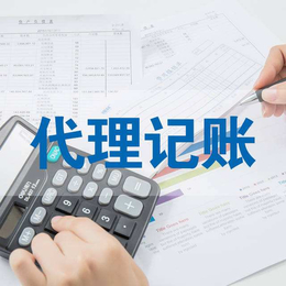 代理记账公司-金誉财税(在线咨询)-河南代理记账